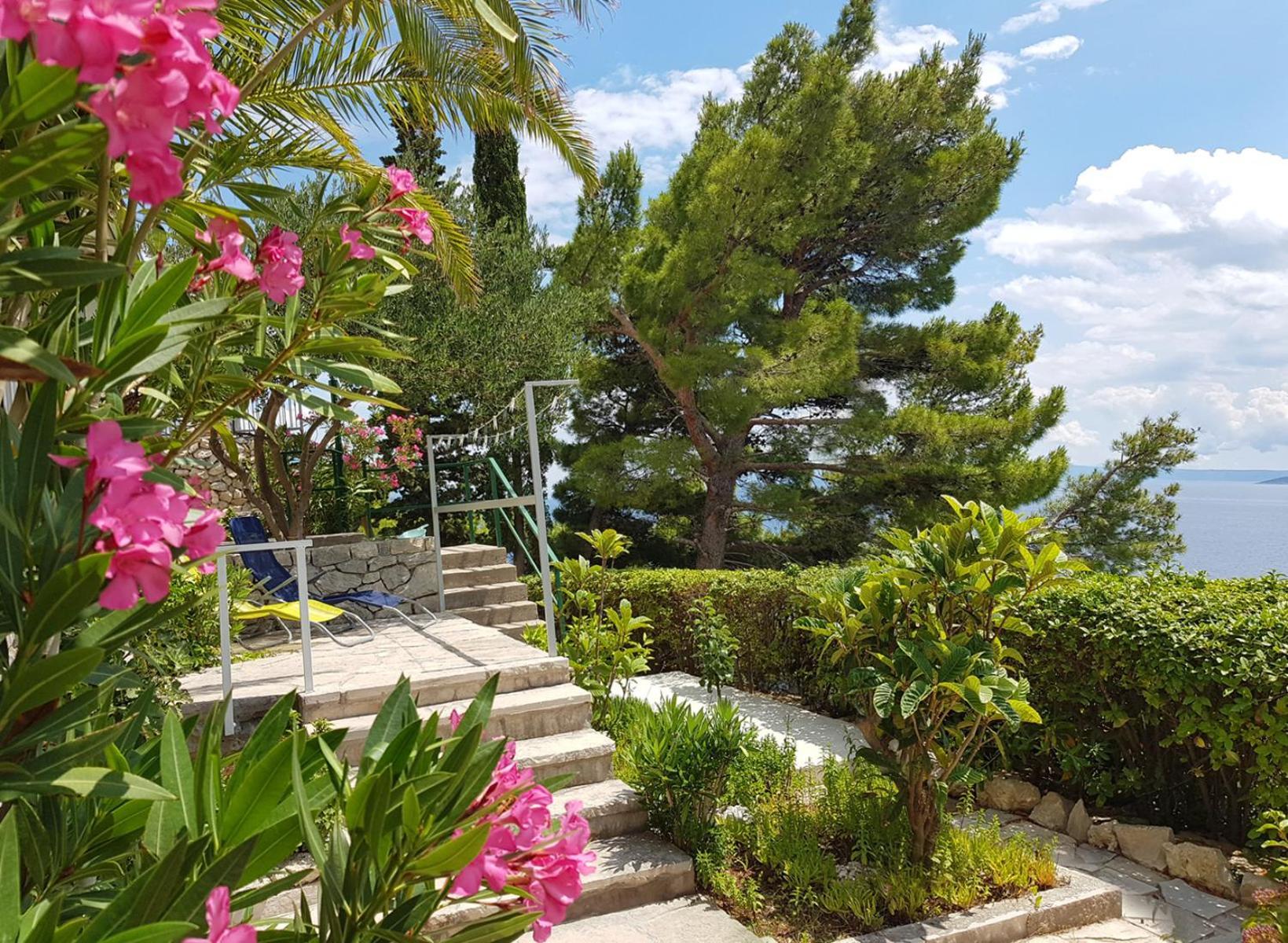 ברלה Villa Skalinada With Sea View חדר תמונה
